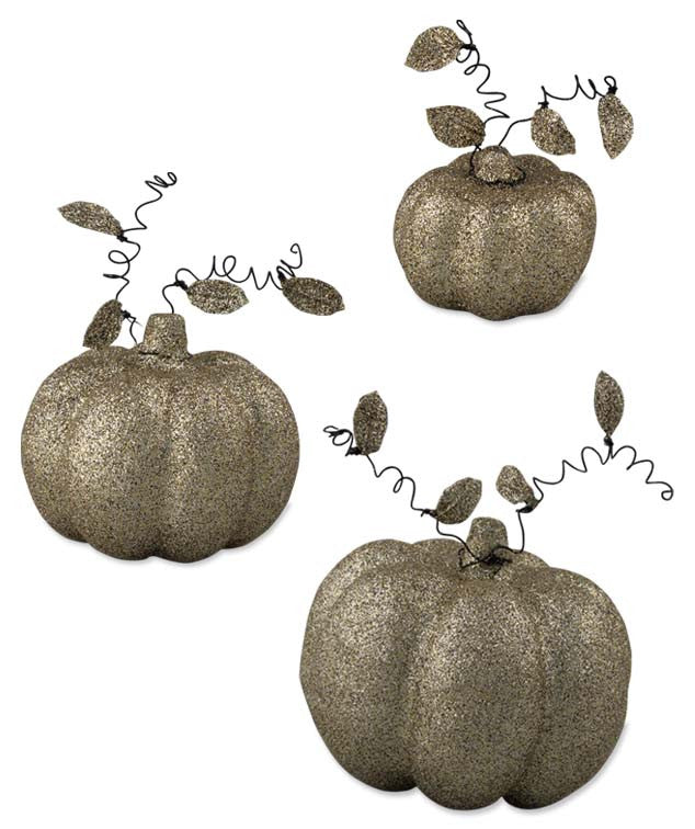 Harvest Pumpkins