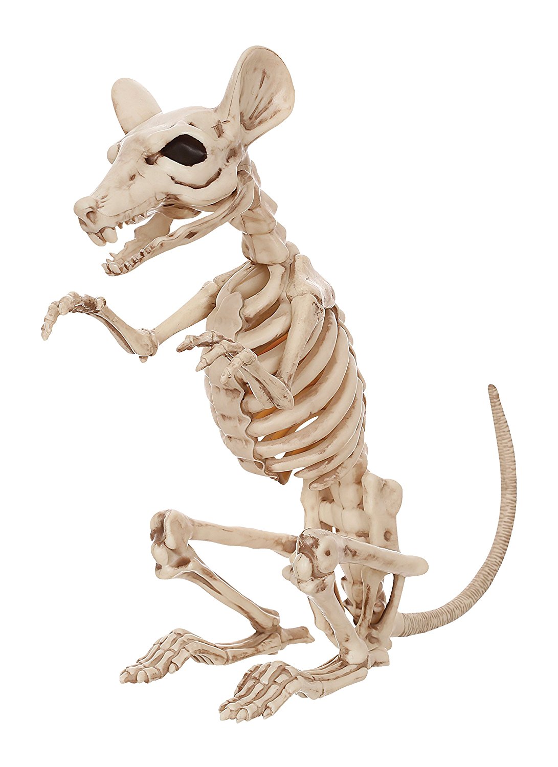 Sitting Skeleton Rat
