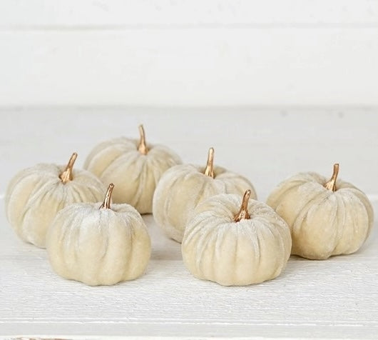 "Velvet Pumpkins with Golden Stem, Natural"