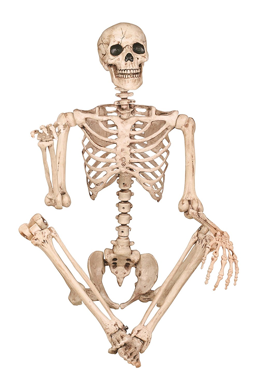 Posable Skeleton Figure - 5'