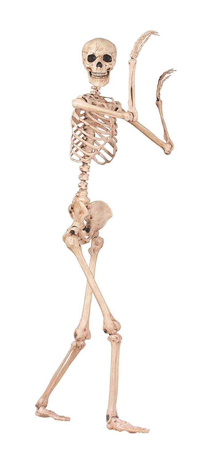 Posable Skeleton Figure - 5'