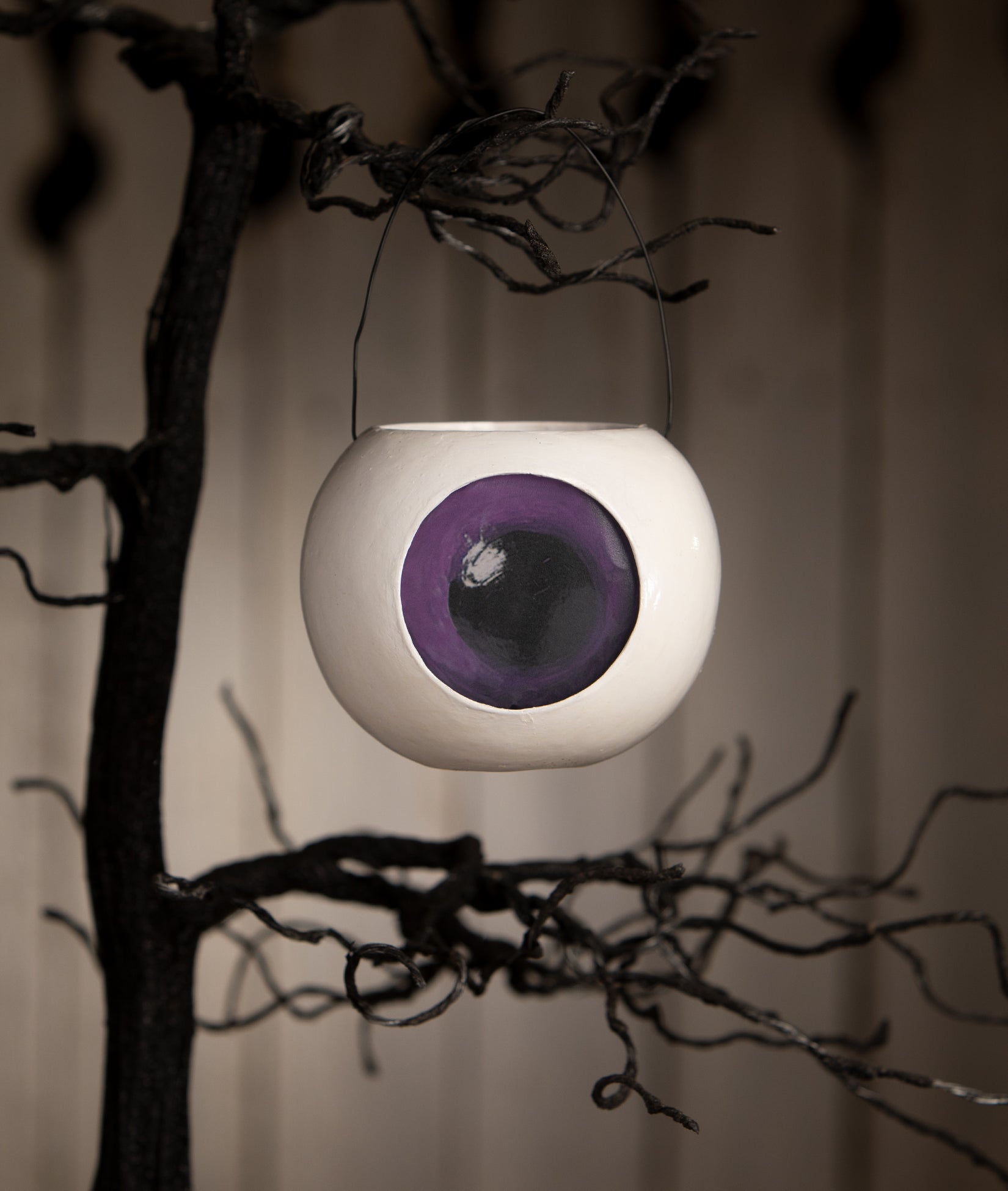 Purple Eyeball Bucket