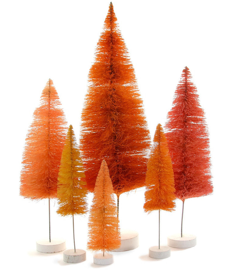 Shades of Orange Bottle Brush Trees