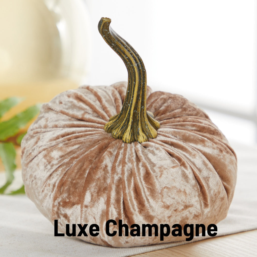 Velvet Pumpkins Luxe Champagne Velvet - Neutral Fall Decorations