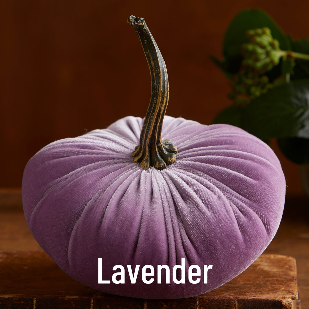 "Velvet Pumpkin, Lavender"