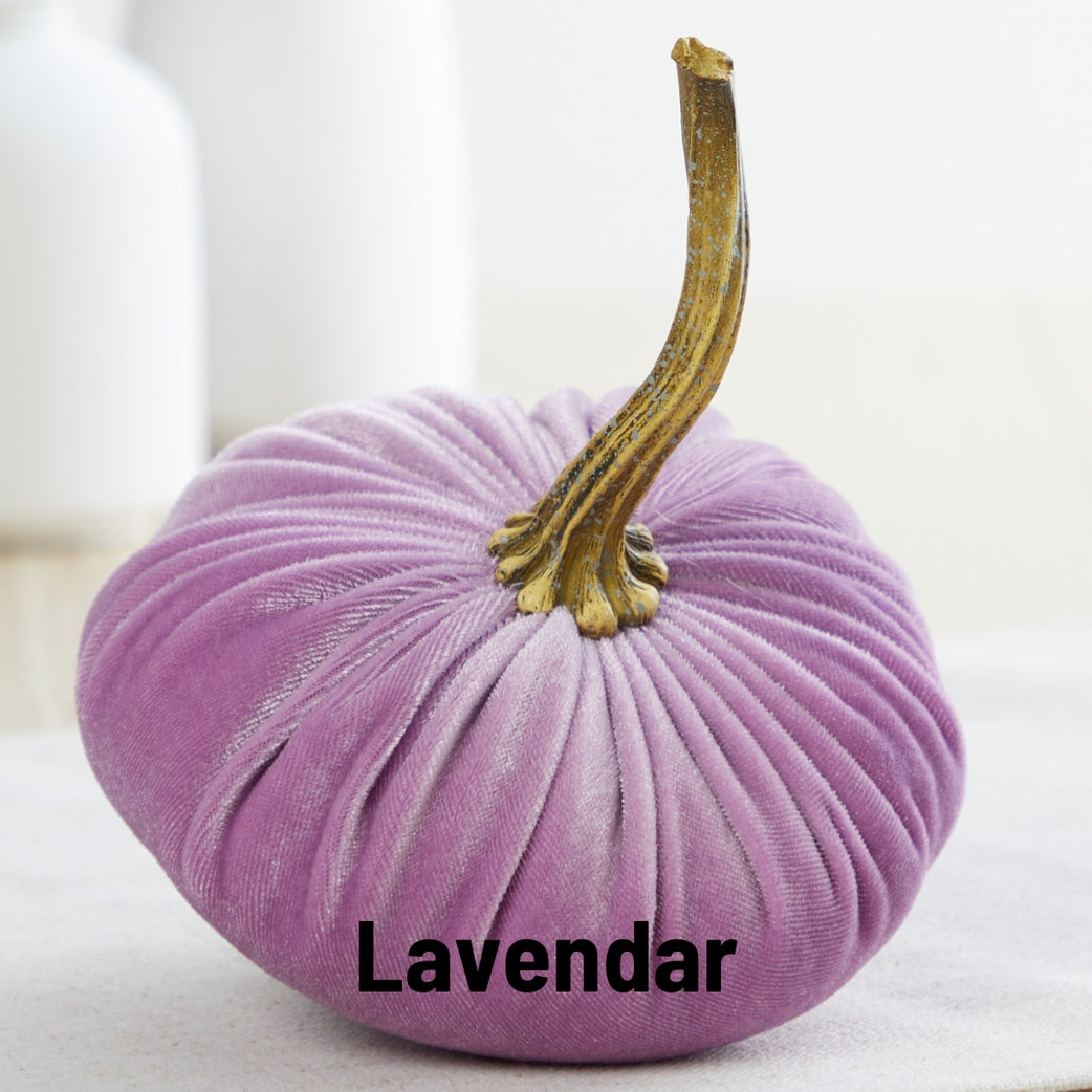 "Velvet Pumpkin, Lavender"