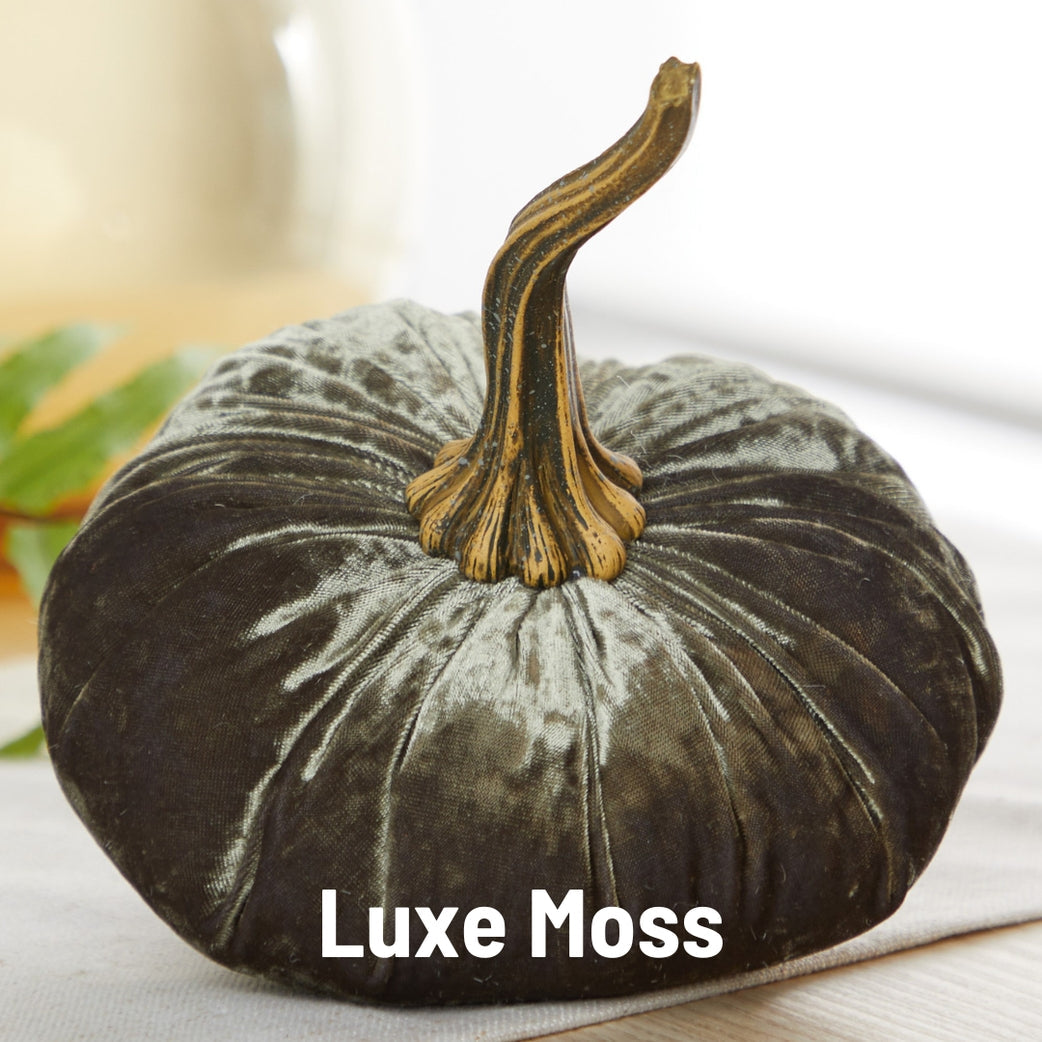 "Velvet Pumpkin, Luxe Moss Green"