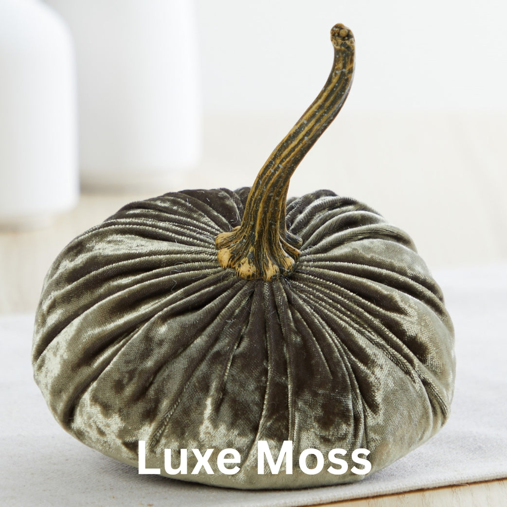"Velvet Pumpkin, Luxe Moss Green"